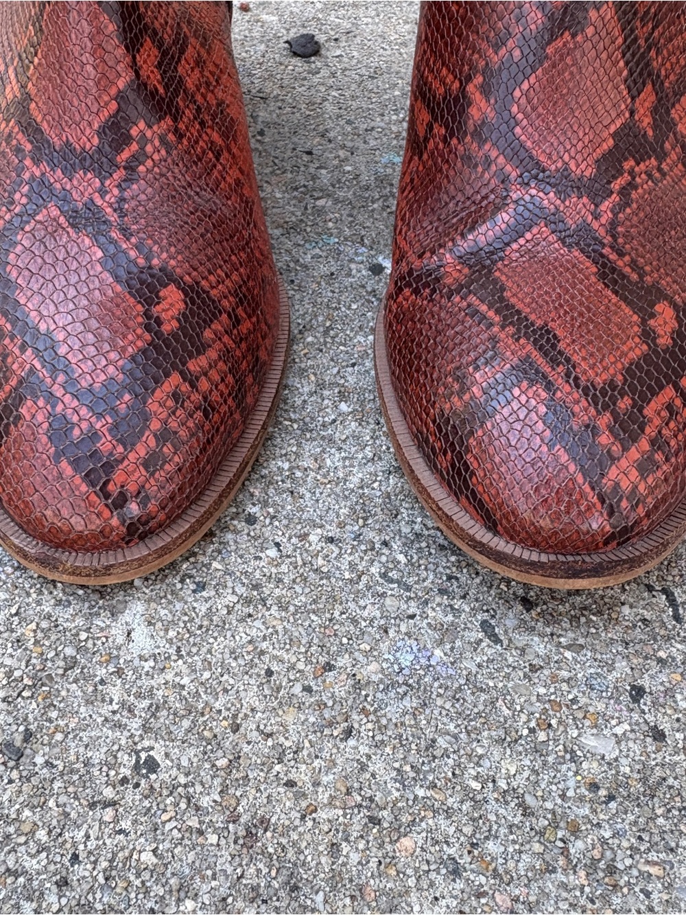 Madewell Snake Embossed Leather Ankle Boots Size 8 - Picture 13 of 16